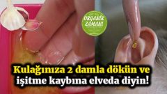 Kulağınıza 2 Damla Dökün Ve İşitme Kaybına Elveda Diyin