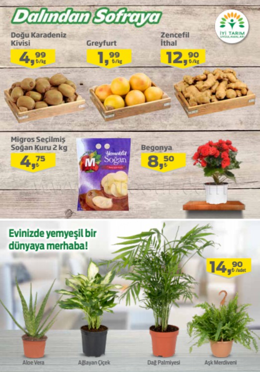 Migros 04 - 17 Ocak 2018 Kampanya Kataloğu
