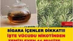 Vücuttaki Nikotinden Kurtulmanız Mümkün