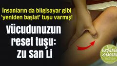 Vücudunuzun Uzun Ömür Noktası Zu San Li