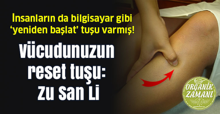 Vücudunuzun Uzun Ömür Noktası Zu San Li