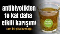 Antibiyotikten 10 Kat Daha Güçlü 3 Malzemeli Karışım