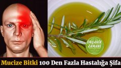 Mucize Bitki 100 Den Fazla Hastalığa Şifa