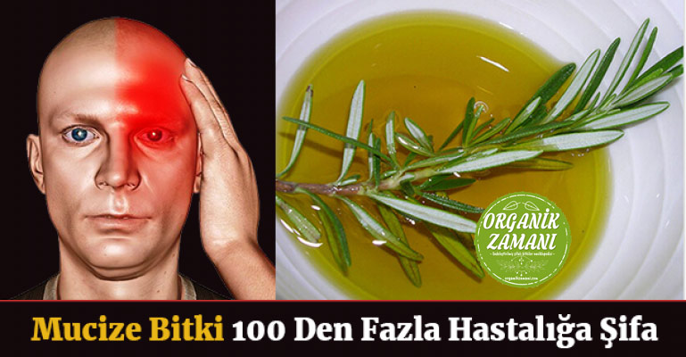 Mucize Bitki 100 Den Fazla Hastalığa Şifa