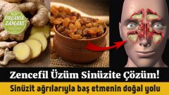 Zencefil, Üzüm Sinüzite Kesin Çözüm