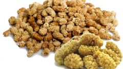 Dutun Faydaları – Dut Kurusu