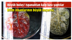 Büyük buluş Ispanaktan kalp kası yaptılar