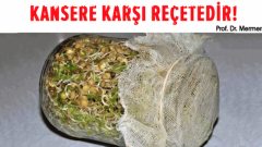 Kansere Karşı Reçete