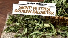 Sıkıntı Ve Stresi Ortadan Kaldırıyor