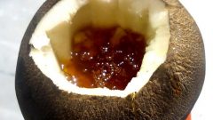 Siyah Turp Ve Balın Buluşmasıyla Öksürükten Kurtulun