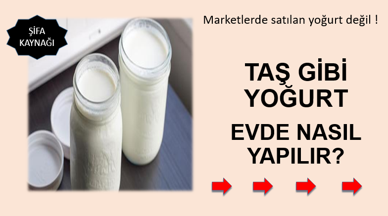 Ev Yapımı Taş Gibi Yoğurt Tarifi – Organik Yoğurt