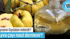 Ayvanın faydaları nelerdir? Ayva çayı tarifi