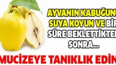 Ayva Kabuğunun İnanılmaz Faydaları Saymakla Bitmiyor