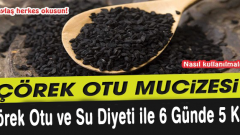 Çörek Otu ve Su Diyeti ile 6 Günde 5 Kilo