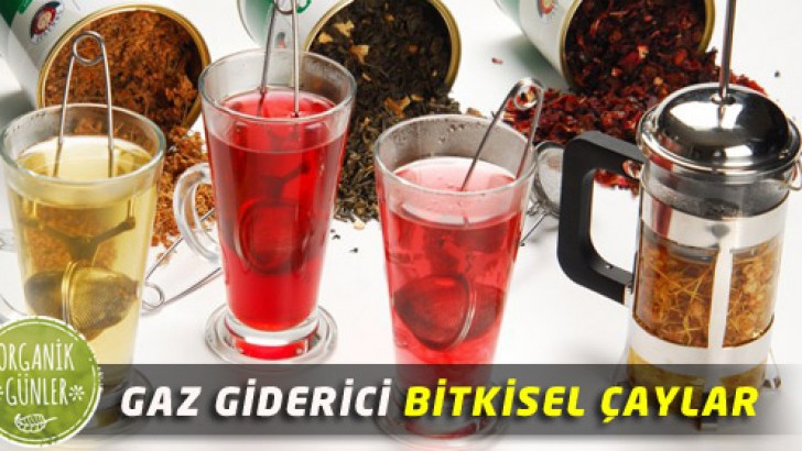 Gaz Giderici Bitkisel Çay