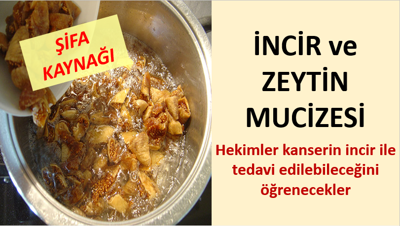 Zeytin ve incirde büyük hikmetler ve pek çok hastalığa şifa vardır