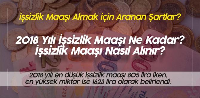 İşsizlik maaşı nasıl alınır 2018 İşsizlik maaşı alma şartları