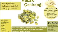 Amerika’da Bir Çok Hastalığın Tedavisinde Kabak Çekirdeği Kullanıldı