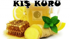 Bu kürü yılın her mevsiminde kıllanmanız mümkündür.