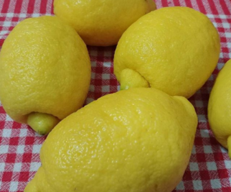 Limon Kabuğu Reçeli