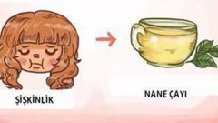 Hangi bitki çayı hangi rahatsızlığa iyi gelir