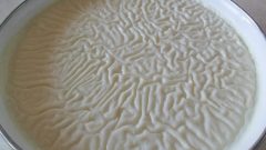 Bol Kaymaklı Sütlaç