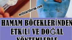 Hamam Böceklerinden Etkili Ve Doğal Yöntemlerle Kurtulun