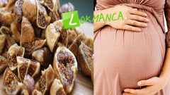 Kan Yapan Hamile Kalmayı Sağlayan Kuru İncir Kürü