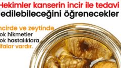Kanserin İlacı MUCİZE. İncir ve Zeytin Yağı Kürü
