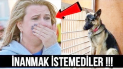 Sahipleri Uyurken Köpeğin Her Gece Yaptığını Görenler Gözyaşlarını Tutamadılar