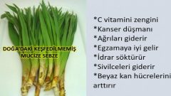 Doğadaki Keşfedilmemiş Mucize Sebze Faydaları Saymakla Bitmez