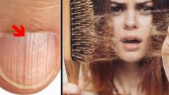 Proteinsiz Kalan Bedende Kısa Sürede Ortaya Çıkacak