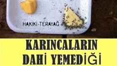 Karıncaların Dahi Yemediği Margarin Sağlığımızı Tehdit Ediyor