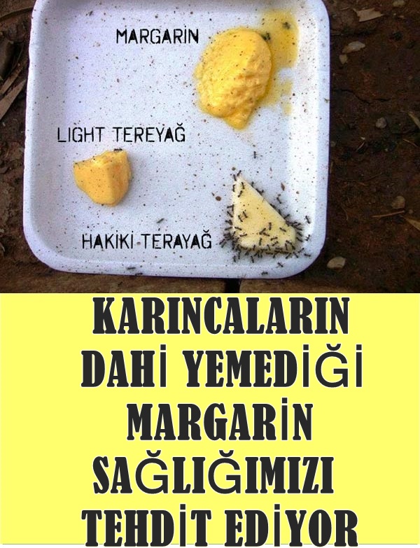 Karıncaların Dahi Yemediği Margarin Sağlığımızı Tehdit Ediyor