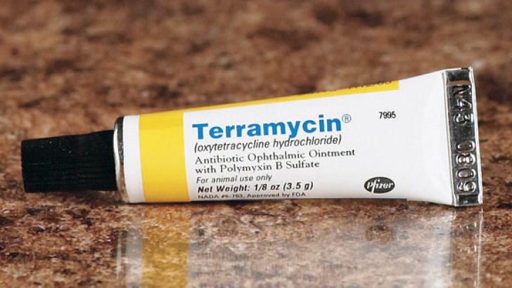 Terramycin krem hakkında tüm bilmek istedikleriniz…