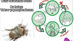 Bilim insanları uyarıyor  Yatağınızı Erkenden Toplamayın Neden mi