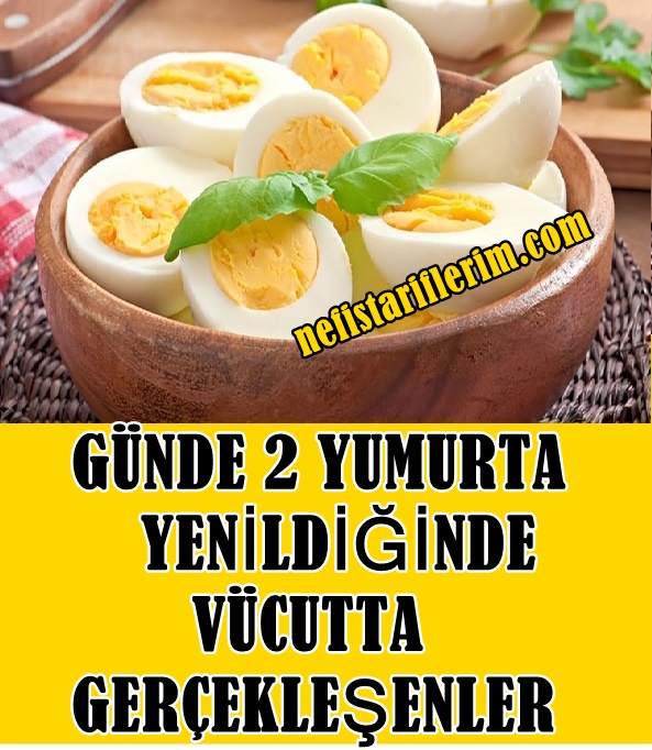 Günde 2 Yumurta Yenildiğinde Vücutta Gerçekleşenler