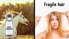 İnternette Kullanılması Önerilen Ancak Çok Zararlı Olan 10 Ürün