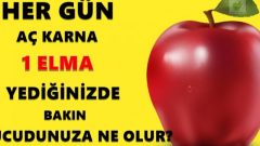 Her Gün Aç Karna 1 Elma Yediğinizde Vücudunuza Ne Olur