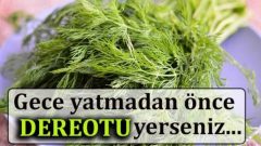 Gece yatmadan önce dereotu yerseniz