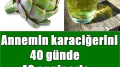 Annemin karaciğerini 40 günde 40 enginarla yeniledik