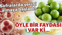 Sofralarda yerini almaya başladı! Öyle bir faydası var ki..