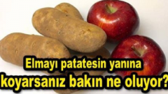 Patatesin yanına elma koyduğunuzda bakın ne oluyor
