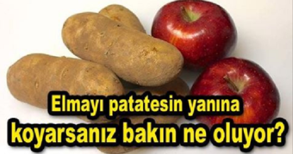 Patatesin yanına elma koyduğunuzda bakın ne oluyor