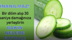 Salatalığın Bilinmeyen İnanılmaz Faydaları