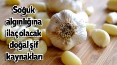 Soğuk algınlığına ilaç olacak doğal şifa kaynakları