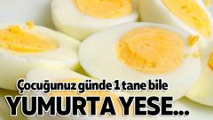 Çocuğunuz günde 1 tane bile yumurta yese…
