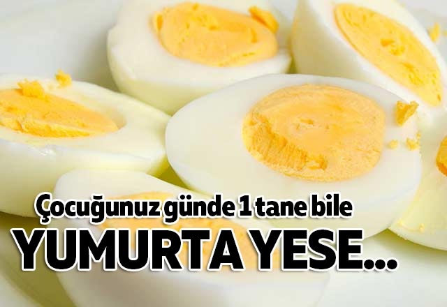 Çocuğunuz günde 1 tane bile yumurta yese...