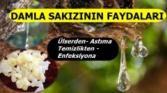Damla Sakızı Birçok Hastalığa İyi Geliyor