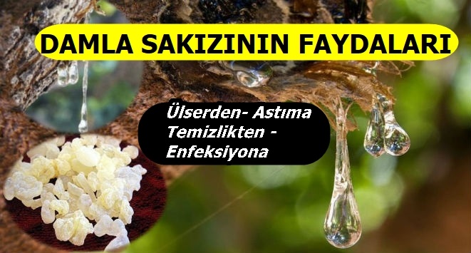 Damla Sakızı Birçok Hastalığa İyi Geliyor